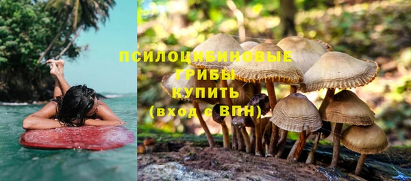 круглые Белокуриха