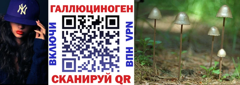 Псилоцибиновые грибы Cubensis  Ленинск-Кузнецкий 