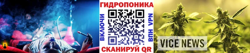 купить наркотики сайты  Ленинск-Кузнецкий  Бошки марихуана ГИДРОПОН 